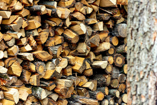 Premium Hardwood Logs